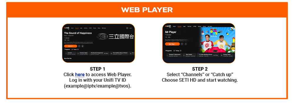 Web Player